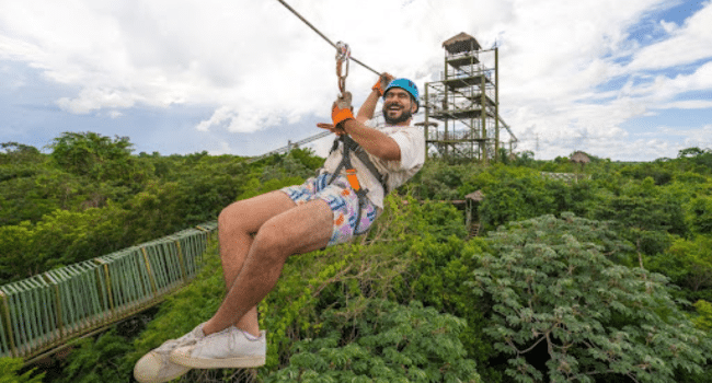 Attractions and Habitats at Selvatica