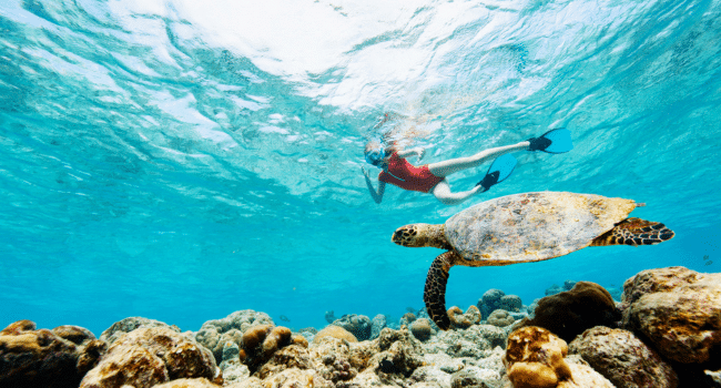 Beauty of Maldives with a Snorkelling Adventure