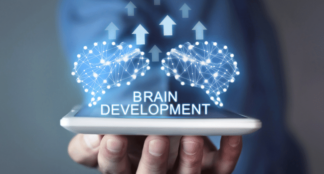 Brain Development