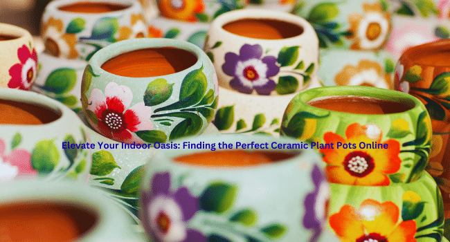 Finding the Perfect Ceramic Plant Pots Online