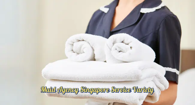 Maid Agency Singapore Service Variety