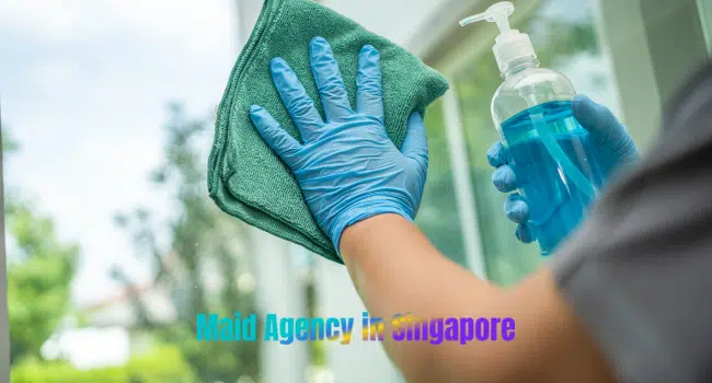 Maid Agency in Singapore