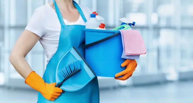 Professional Cleaning Services