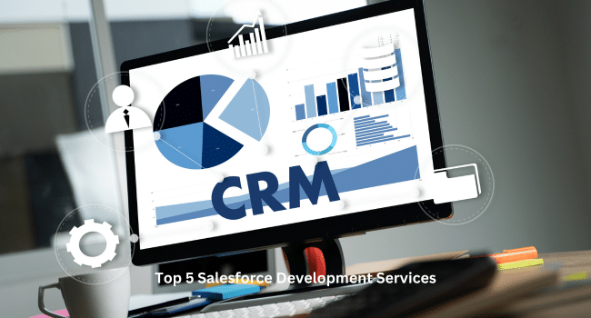 Salesforce Development Services