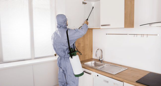 Signs of Pest Infestation in Your Home