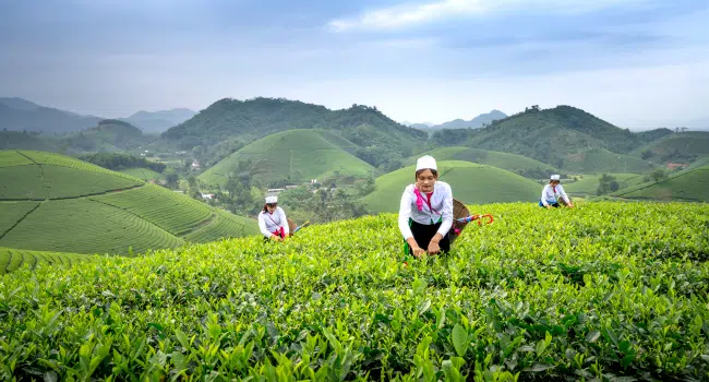 Women in Agribusiness