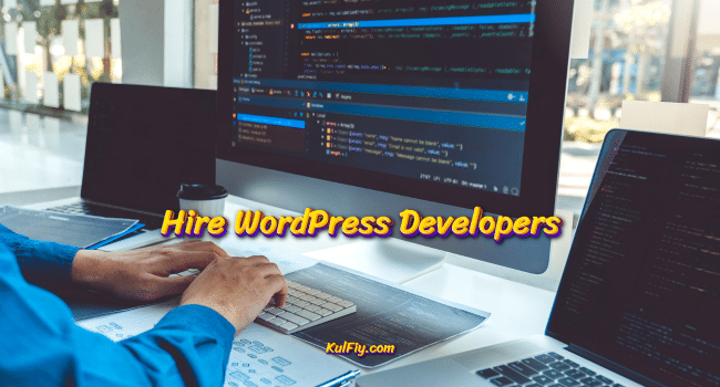 WordPress Developers